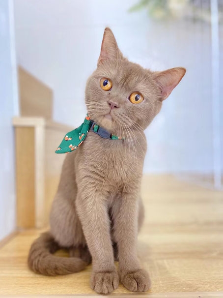 湖南微望互動 湖南微望互動