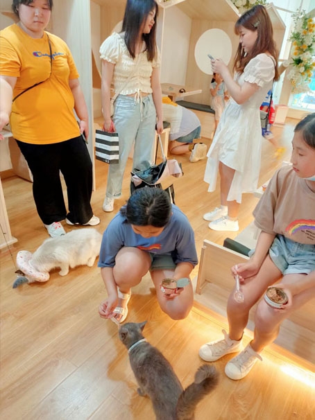 湖南微望互動 湖南微望互動